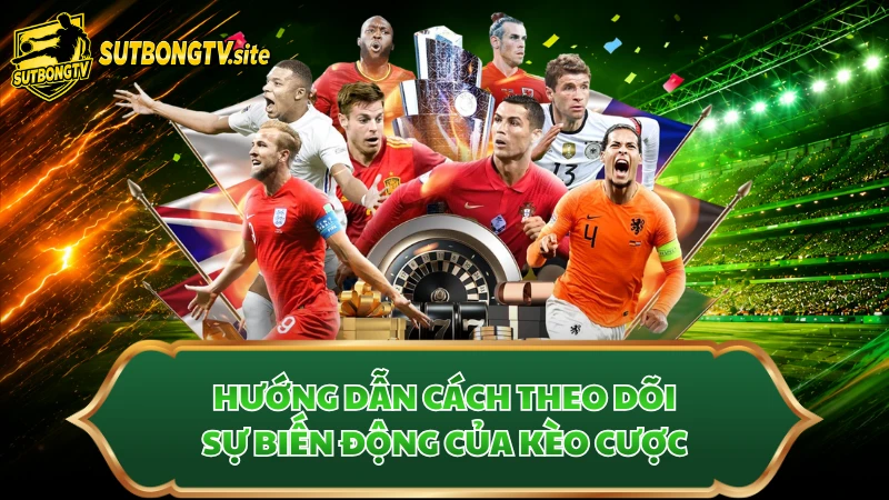 Hướng dẫn cách theo dõi sự biến động của kèo cược