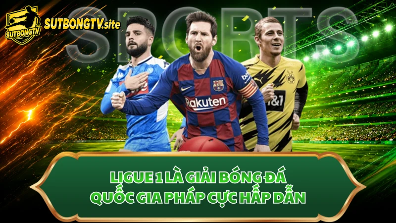 Ligue 1 là giải bóng đá quốc gia Pháp cực hấp dẫn