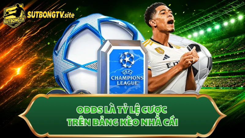 Odds là tỷ lệ cược trên bảng kèo nhà cái